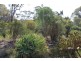 Allot 316 Cnr Murray Street & Needles Road, Caloote SA 5254