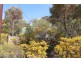 Allot 316 Cnr Murray Street & Needles Road, Caloote SA 5254