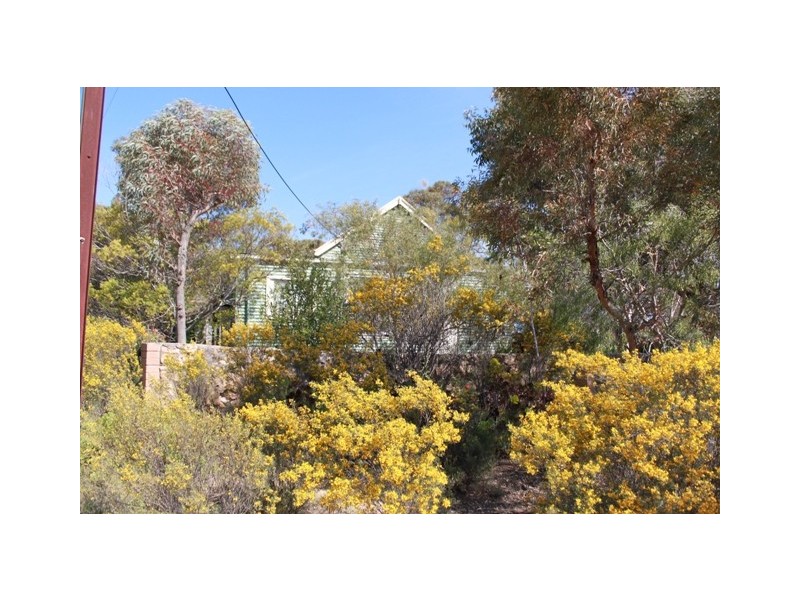 Allot 316 Cnr Murray Street & Needles Road, Caloote SA 5254
