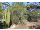 Allot 316 Cnr Murray Street & Needles Road, Caloote SA 5254