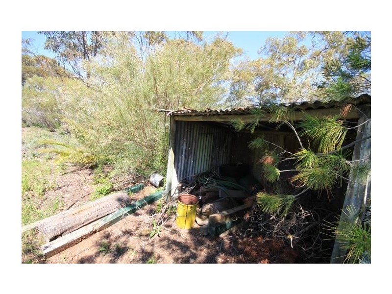 Allot 316 Cnr Murray Street & Needles Road, Caloote SA 5254