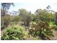 Allot 316 Cnr Murray Street & Needles Road, Caloote SA 5254