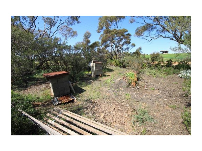 Allot 316 Cnr Murray Street & Needles Road, Caloote SA 5254