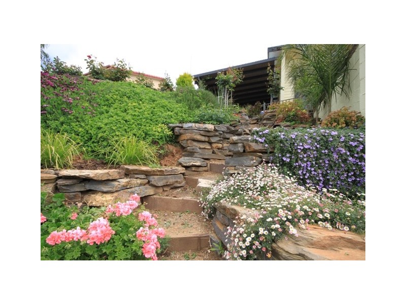 89 Cliff Street, Mannum SA 5238