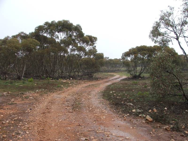 Sect. 4 Goondooloo Road, Bowhill SA 5238