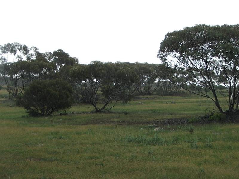 Sect. 4 Goondooloo Road, Bowhill SA 5238