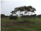 Sect. 4 Goondooloo Road, Bowhill SA 5238