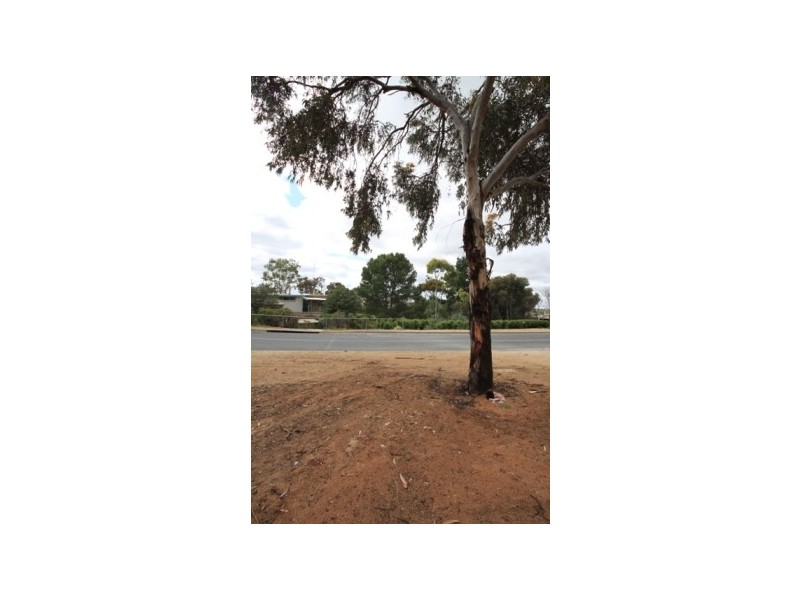 Allot 50 Albert Street, Mannum SA 5238