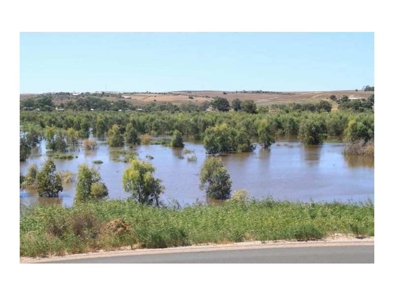 4 Purnong Road, Mannum SA 5238