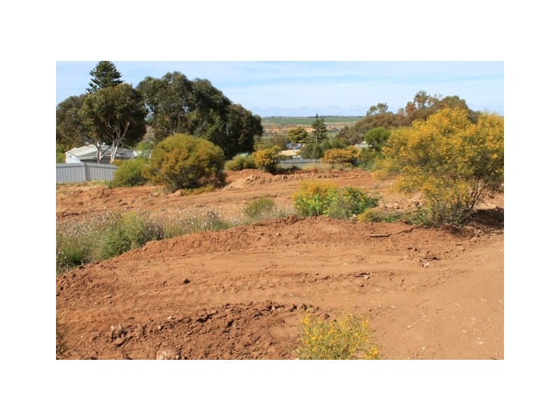 Lot 306 Wanke Road, Mannum SA 5238