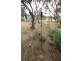Lot 102 Gierke Road, Tepko SA 5254