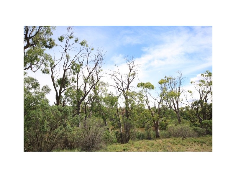 Sect. 278 Christian Road, Devon Downs via, Swan Reach SA 5354