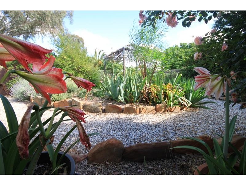 9 Mau Street, Mannum SA 5238