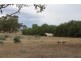 Lot 3 Cambrai Road, Sanderston SA 5237