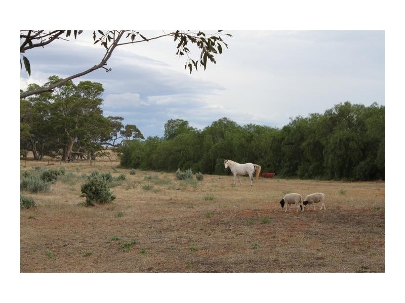 Lot 3 Cambrai Road, Sanderston SA 5237