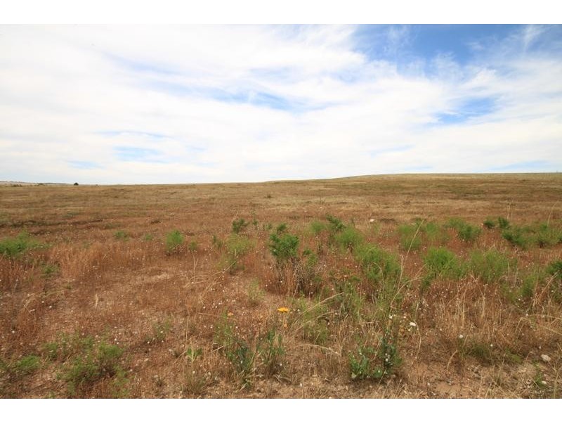 Lot 1 & 2 Kirkness Road, Mannum SA 5238