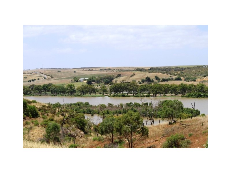 50 Crawford Cres, Mannum SA 5238