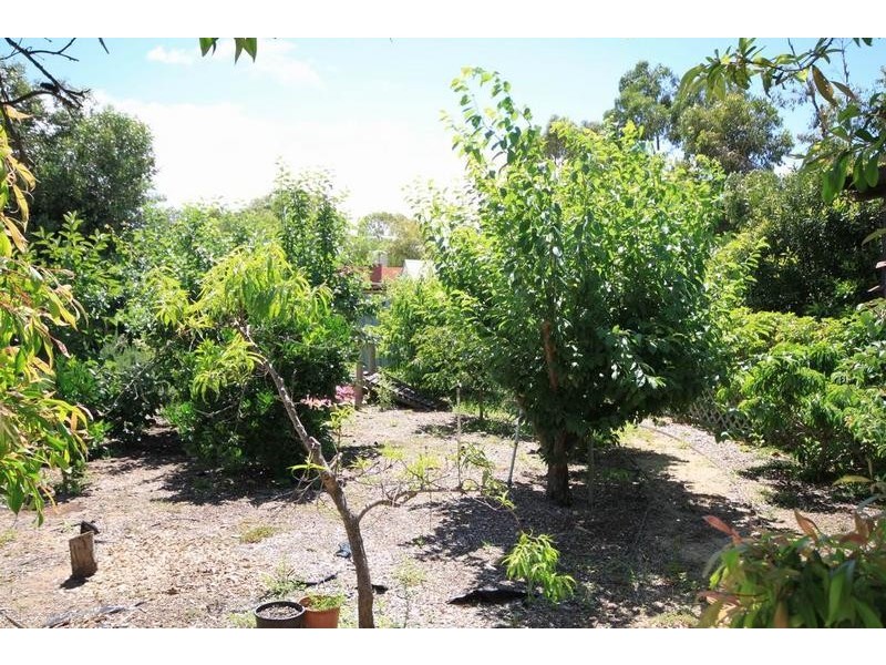 12 Murray Terrace, Cowirra SA 5238