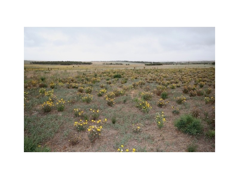 Lot 39 Magpie Cresent, Mannum SA 5238