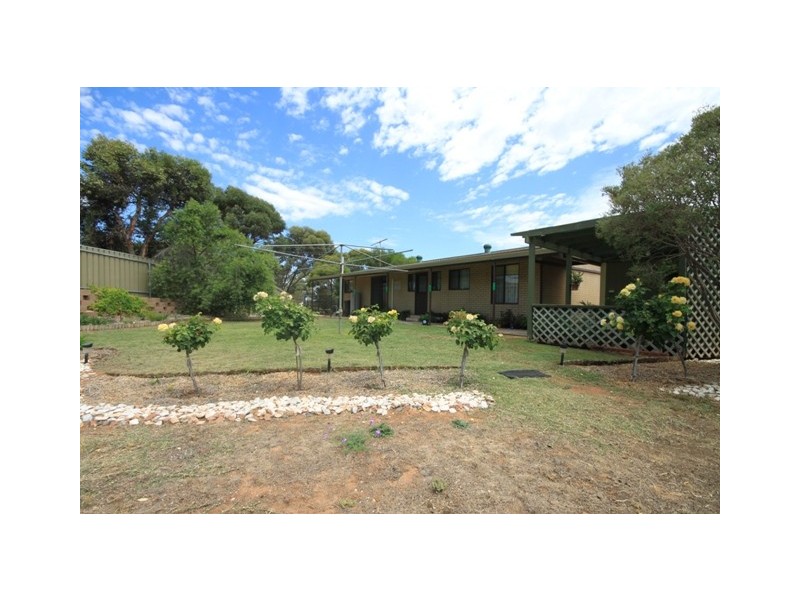 Lot 456 Swan Reach – Walker Flat Road, Nildottie SA 5238