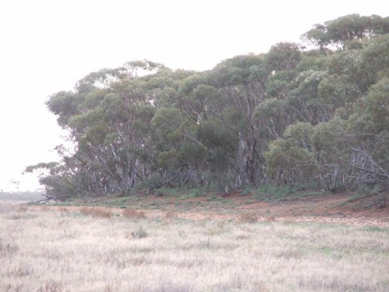 9 & 10 Cockshell Road, Bowhill SA 5238