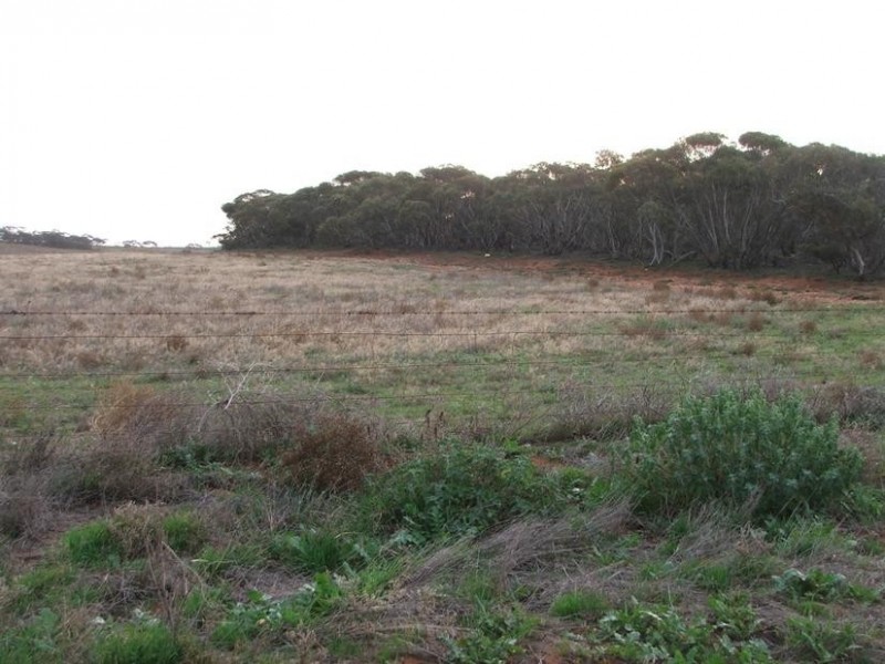 9 & 10 Cockshell Road, Bowhill SA 5238