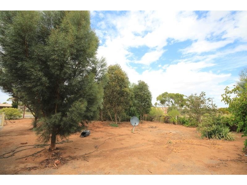 42 & 43 Swan Reach Rd, Sedan SA 5353