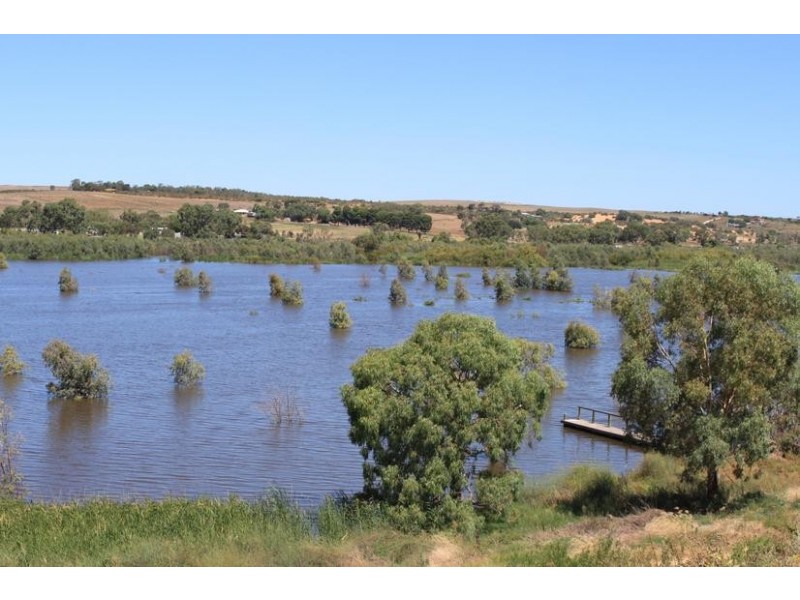 103 Purnong Road, Mannum SA 5238