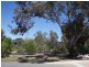 Lot 1 Curio Road, Cambrai SA 5353