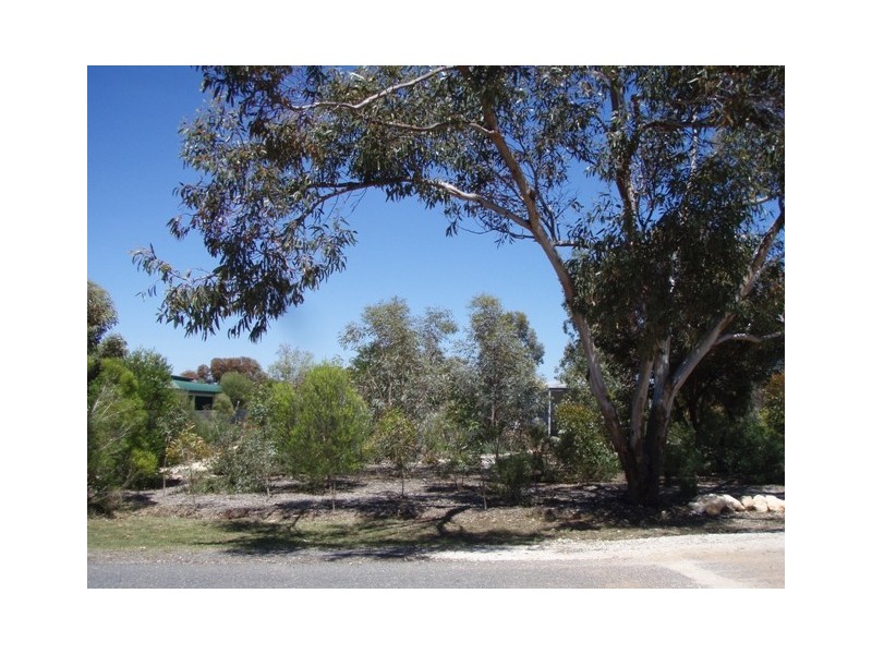 Lot 1 Curio Road, Cambrai SA 5353
