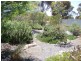 Lot 1 Curio Road, Cambrai SA 5353