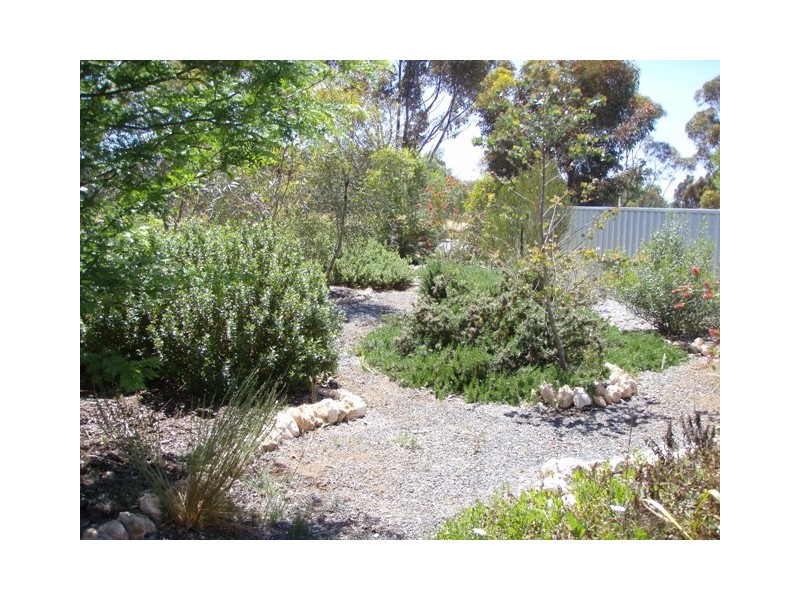 Lot 1 Curio Road, Cambrai SA 5353