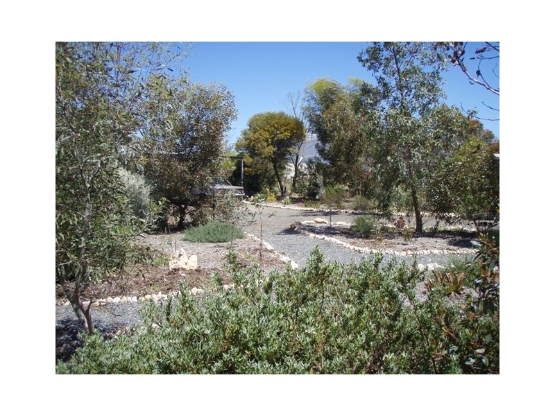 Lot 1 Curio Road, Cambrai SA 5353