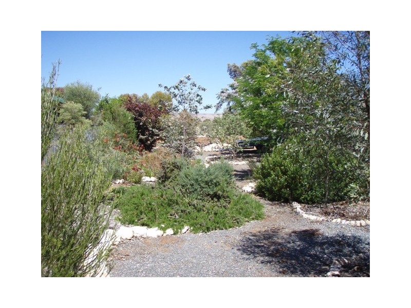 Lot 1 Curio Road, Cambrai SA 5353