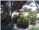 Lot 1 Curio Road, Cambrai SA 5353