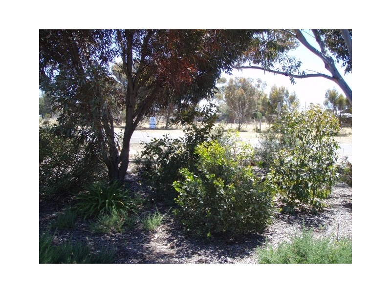 Lot 1 Curio Road, Cambrai SA 5353