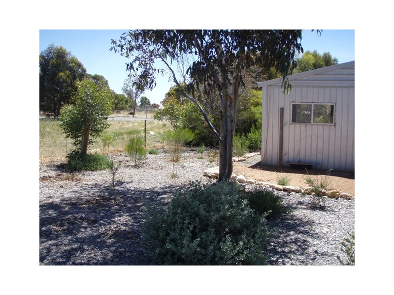 Lot 1 Curio Road, Cambrai SA 5353
