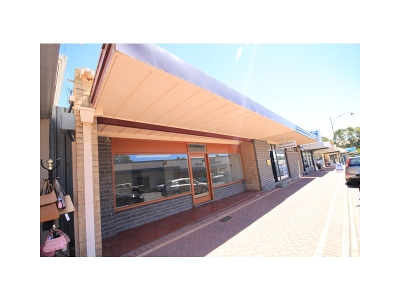 71 Randell Street, Mannum SA 5238