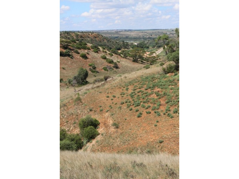 Lot 52 Dollard Avenue, Mannum SA 5238