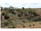 Lot 52 Dollard Avenue, Mannum SA 5238
