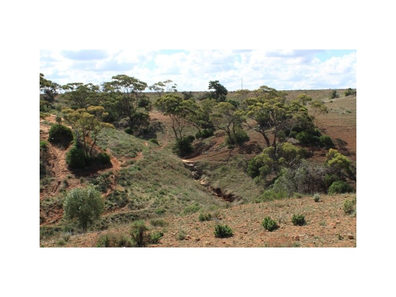 Lot 52 Dollard Avenue, Mannum SA 5238