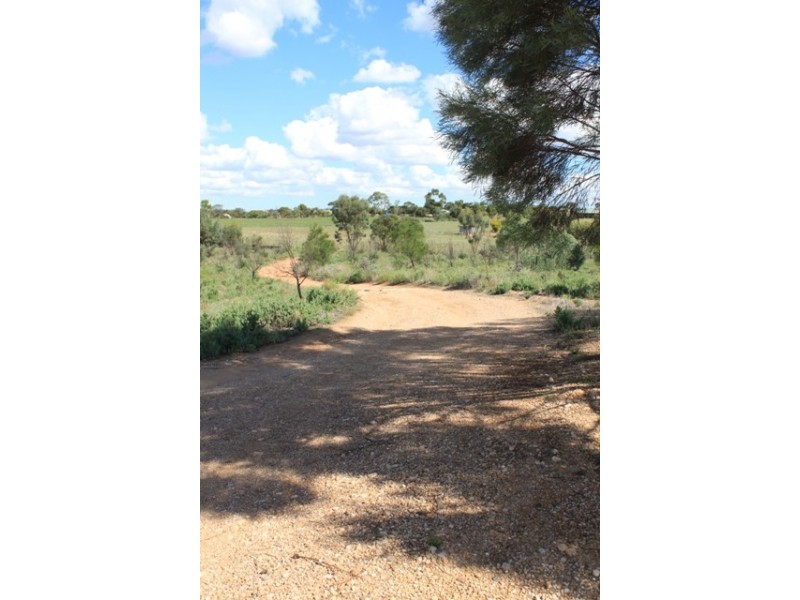 Lot 52 Dollard Avenue, Mannum SA 5238