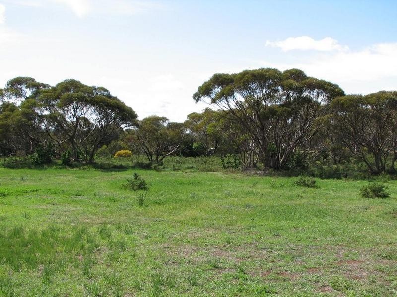 Sections 1 to 10, 12 & 13 Cockshell Road, Bowhill SA 5238