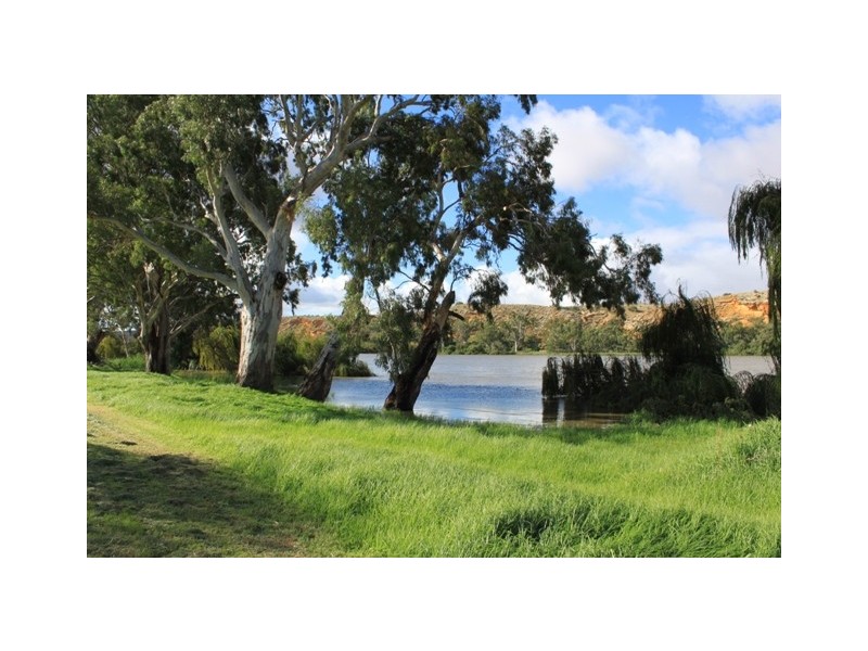 Lot 502 Rob Loxton Road, Walker Flat SA 5238