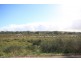 Lot 502 Rob Loxton Road, Walker Flat SA 5238
