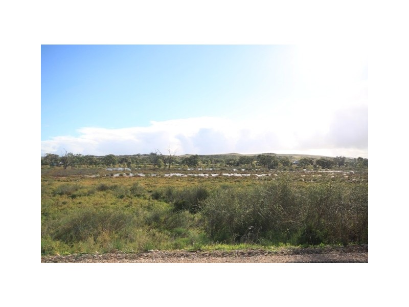 Lot 502 Rob Loxton Road, Walker Flat SA 5238