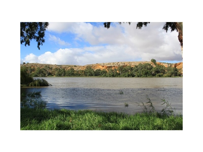Lot 502 Rob Loxton Road, Walker Flat SA 5238