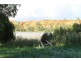 Lot 502 Rob Loxton Road, Walker Flat SA 5238