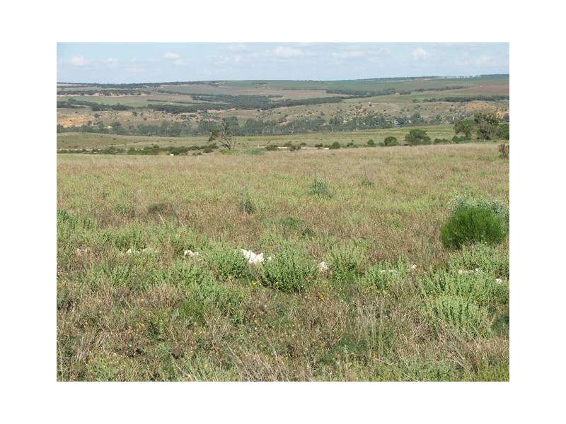 Sect. 500 Underwood Hill Road, Mannum SA 5238