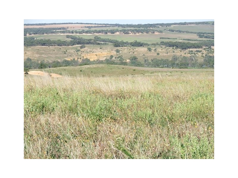 Sect. 500 Underwood Hill Road, Mannum SA 5238